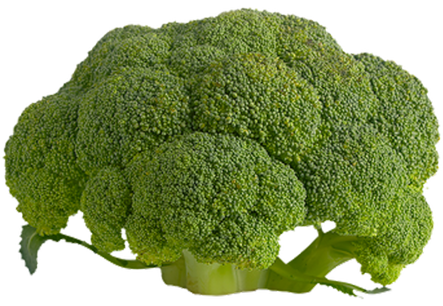 Broccoli Crowns ($1.75 / LB)