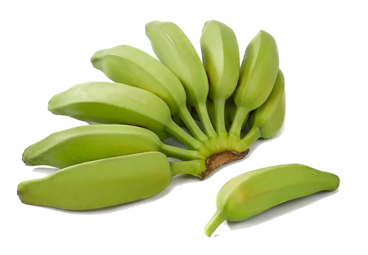 Burro Plantain ($1.25 / LB)