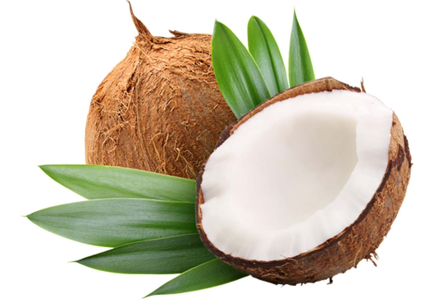 Fresh Coconut/Coco