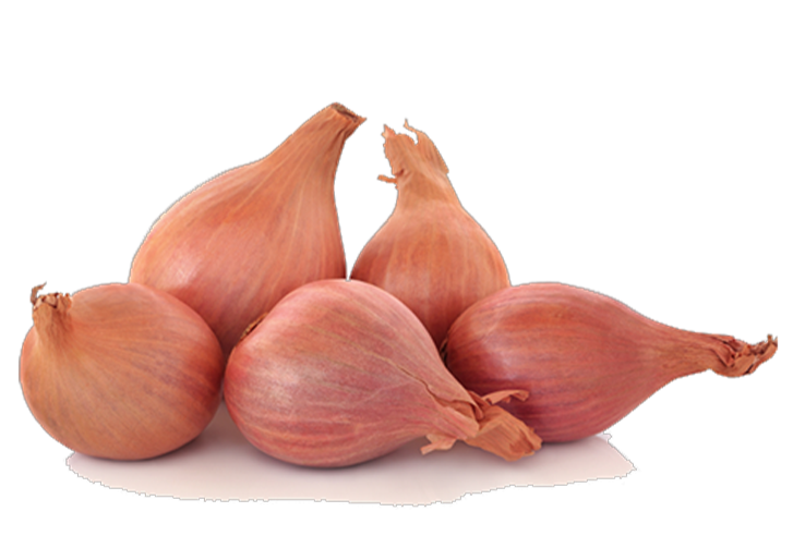 Fresh Shallots ($2.99 / LB)