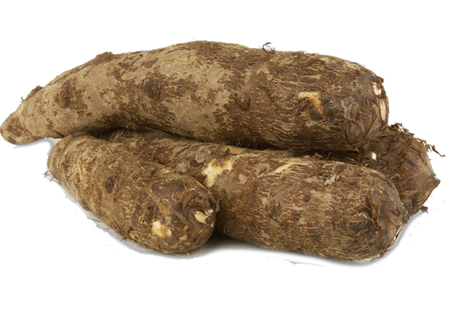 Malanga ($1.75 / LB)