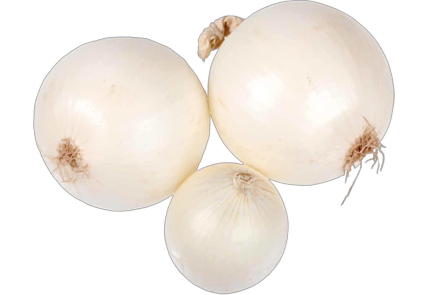 White Onions ($0.80 / LB)