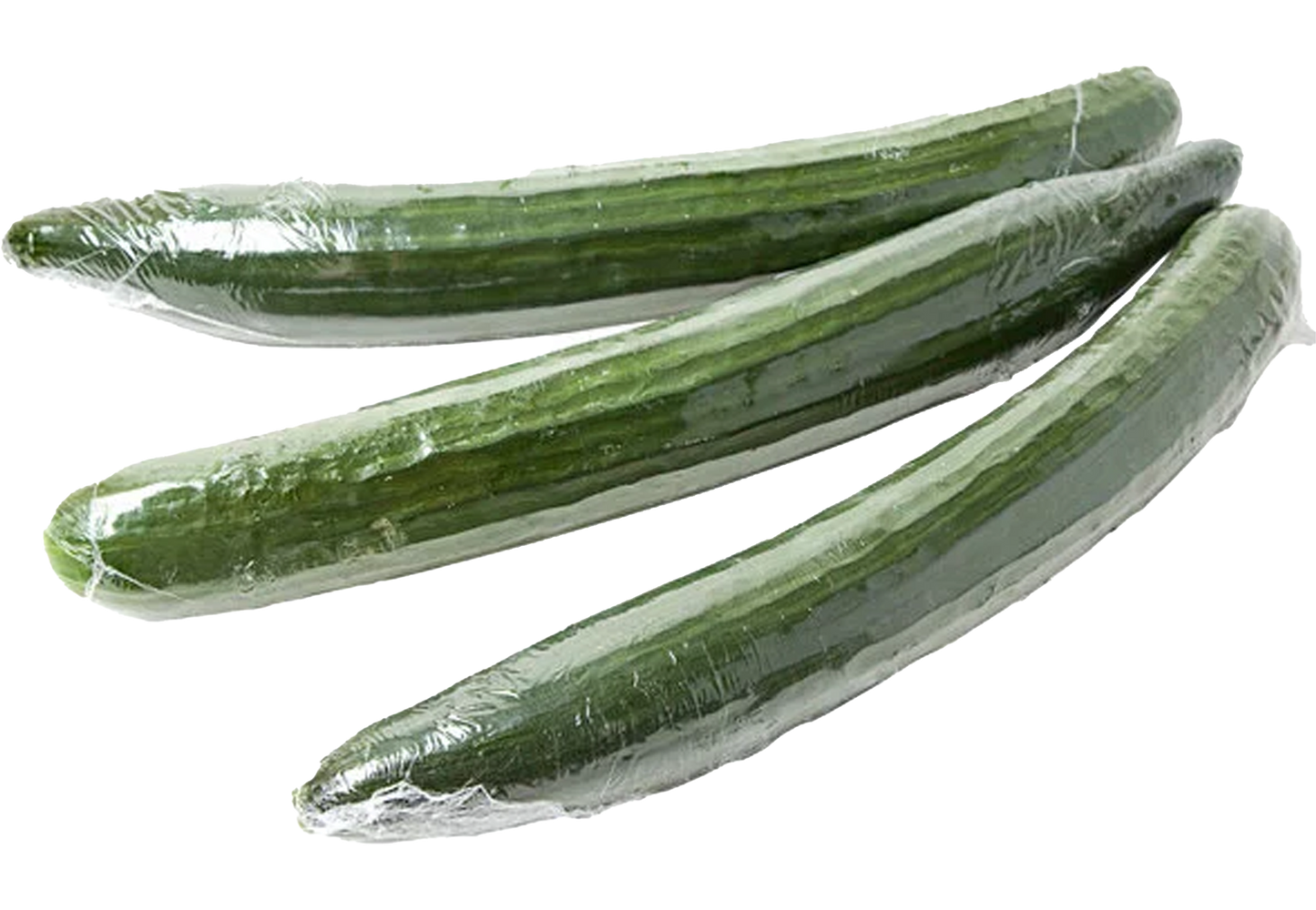 European Cucumber