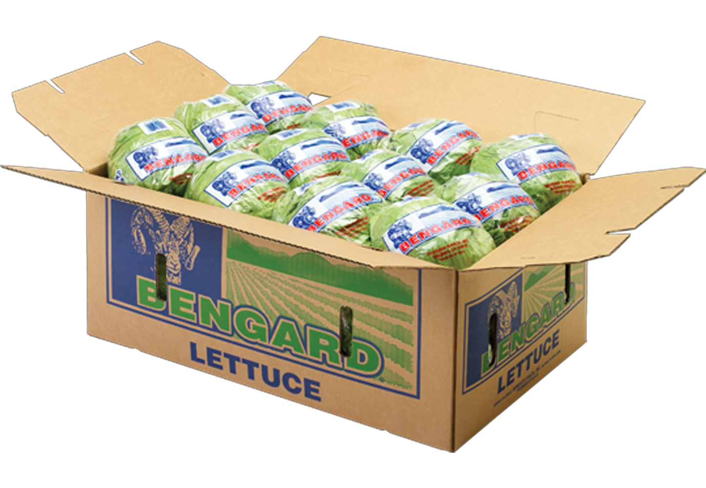 Box of Lettuce (Wholesale)