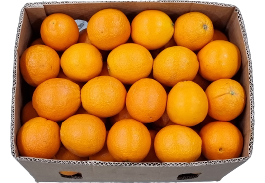 Box of Oranges (88 Count)