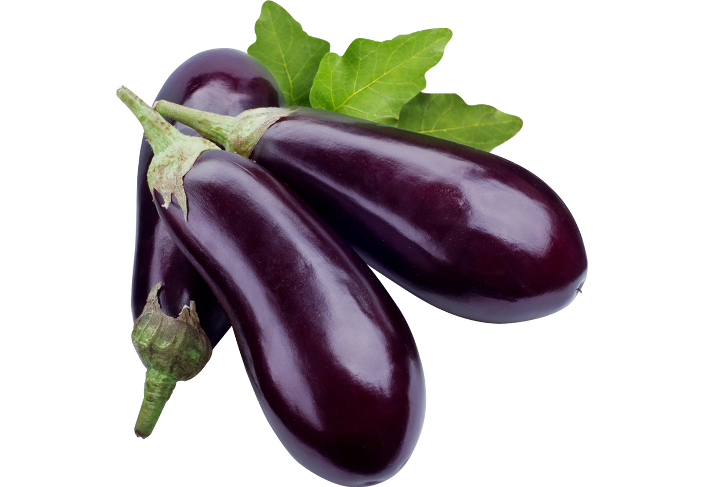 Eggplant/Berenjenas ($0.99/ LB)