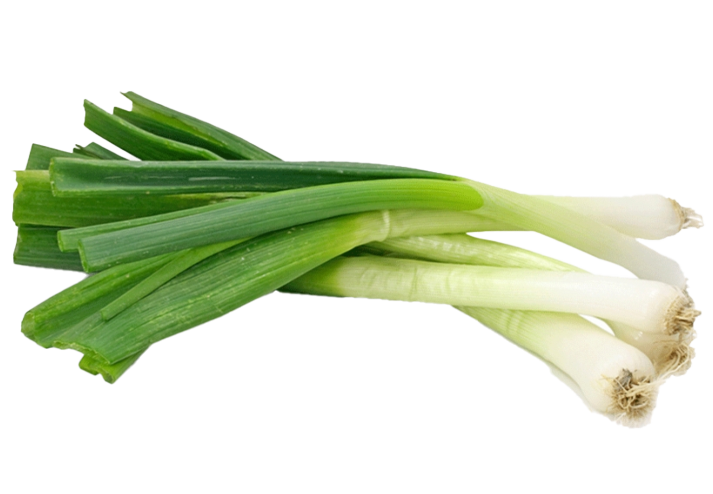 Green Onion Bunch