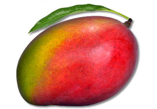 Mangoes (2 x $2.49)