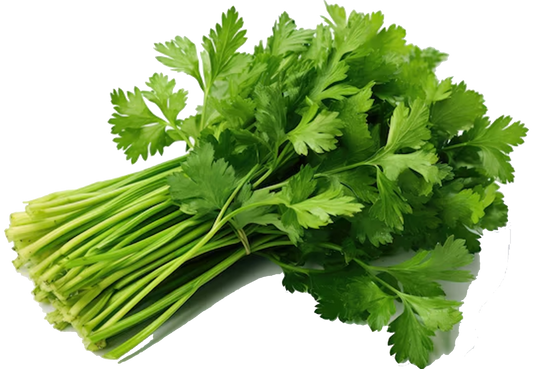 Parsley Bunch