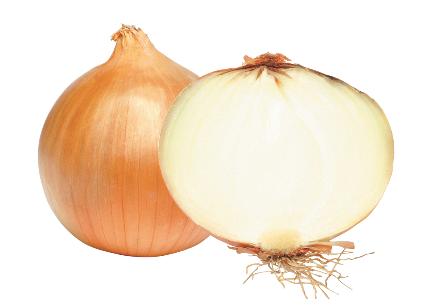 Yellow Onions ($0.60 / LB)