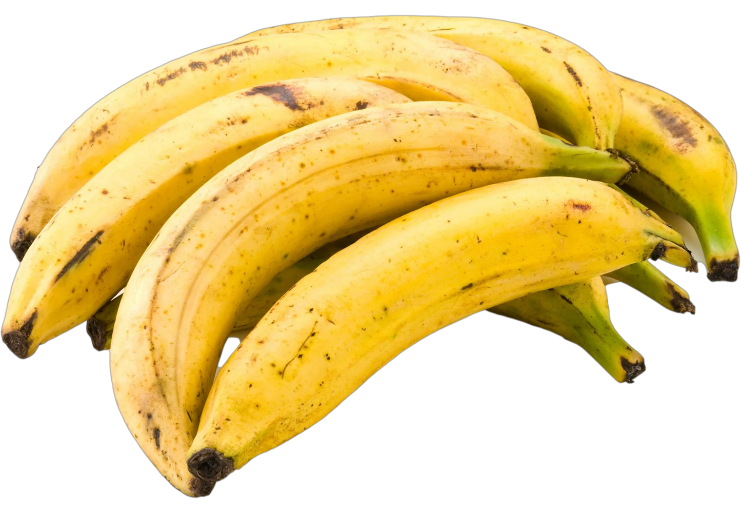 Yellow Plantain